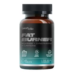 Fatburner (Жиро-Сжигатель) Dr more N60