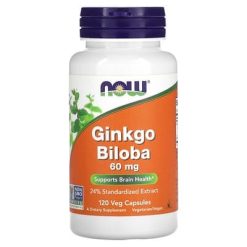 Ginkgo Biloba 60mg Now N120